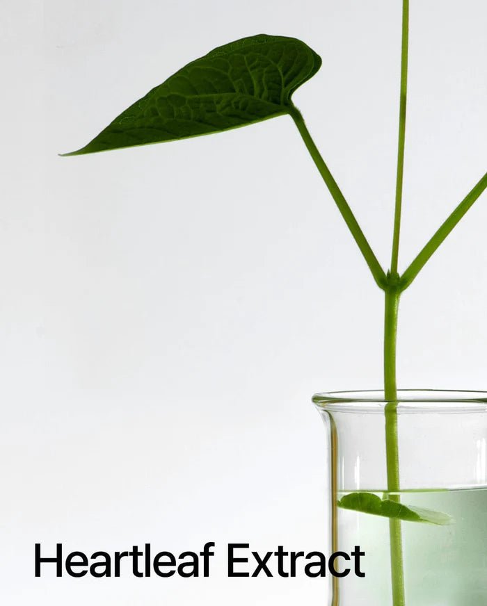 [ANUA] - HEARTLEAF 77% SOOTHING TONER – For Sensitive skin- 100% Authentic Korean Skincare in Pakistan