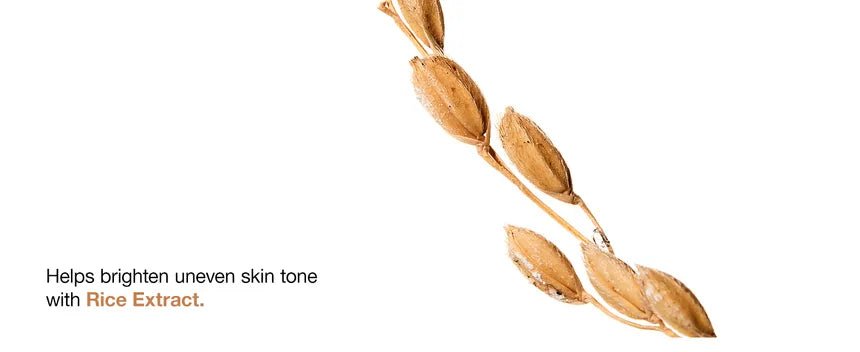 [ANUA] Rice 7 Ceramide Hydrating Barrier Serum 50ml – 100%Authentic Korean Skincare in Pakistan